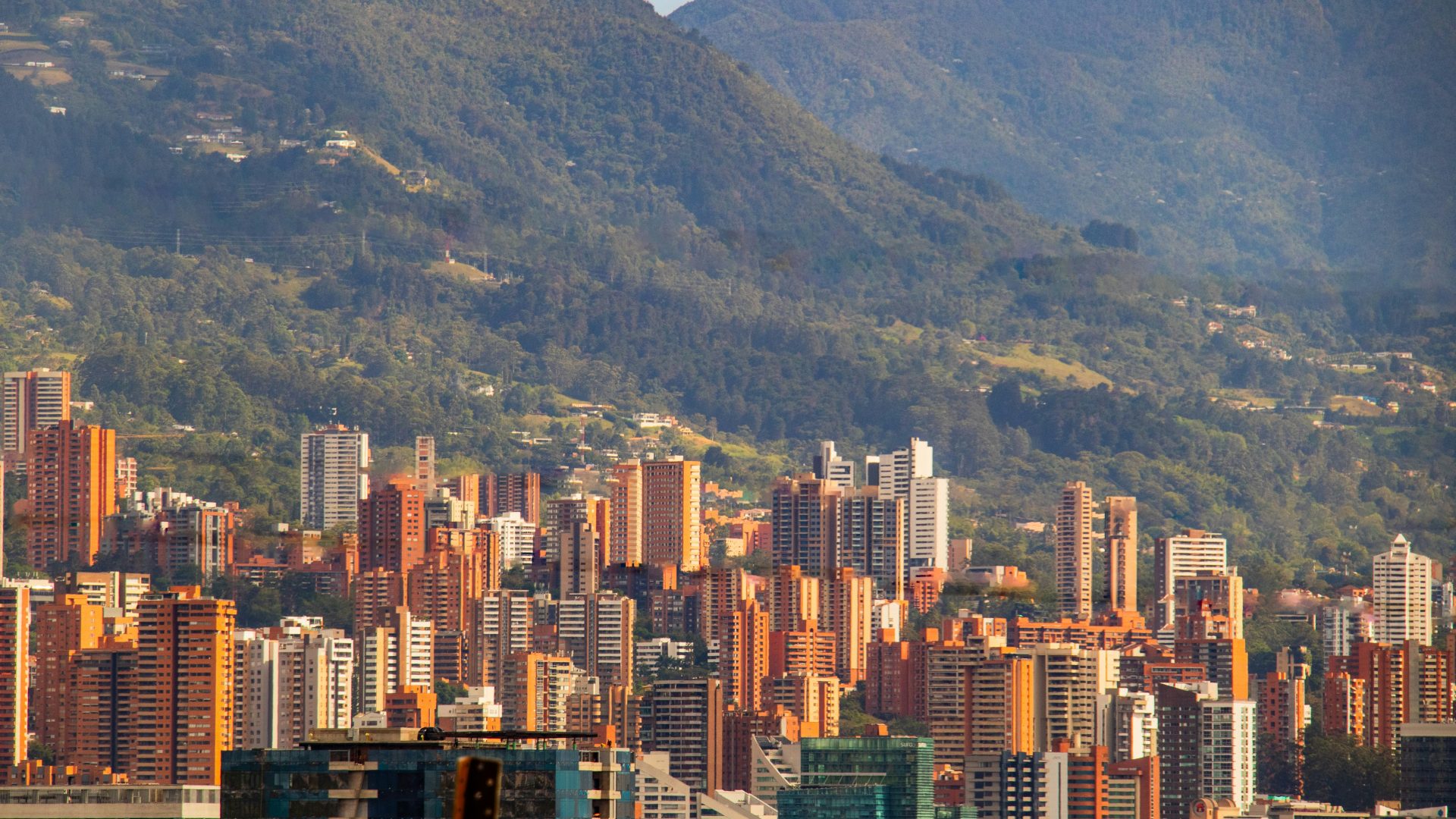 jimmy-woo-8fxmxcGNpsE-unsplash